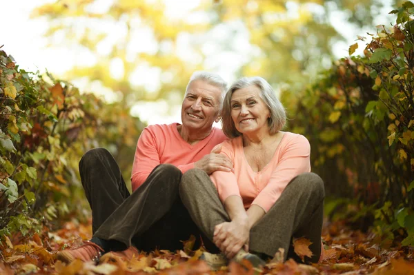 Pareja en el parque de otoño — Foto de Stock