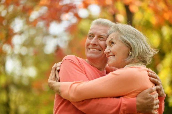 Pareja en el parque de otoño —  Fotos de Stock