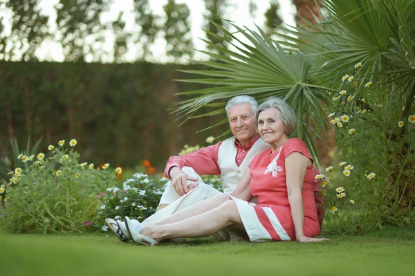 Aimer couple aîné assis sur l'herbe — Photo