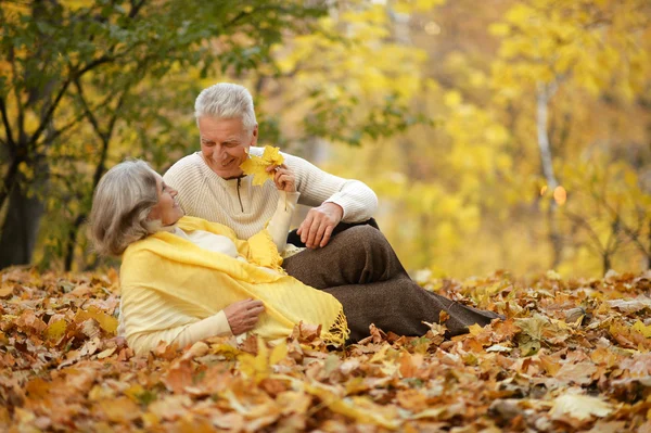 Pareja en el parque de otoño — Foto de Stock