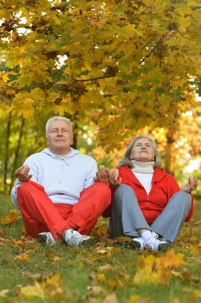 Couple s'exerçant dans le parc — Photo