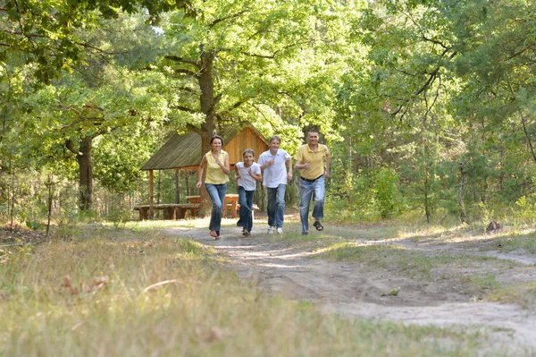 Family having fun in summer park — Stock Photo, Image