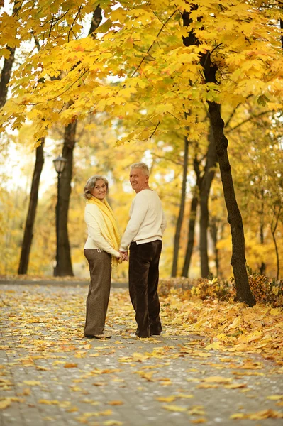 Pareja en el parque de otoño — Foto de Stock