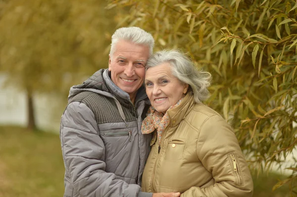 Coppia nel parco autunnale — Foto Stock