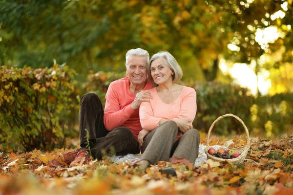 Coppia nel parco autunnale — Foto Stock