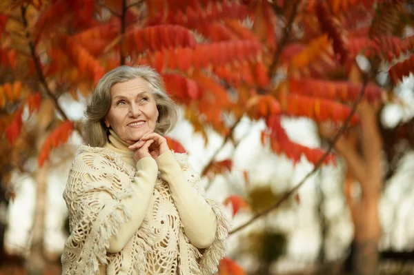 Mujer mayor en parque otoño parque — Foto de Stock