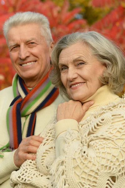 Pareja mayor posando en el parque de otoño — Foto de Stock