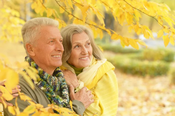 Old couple  at autumn park — Stock Photo, Image
