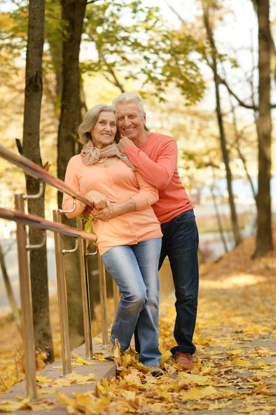 Parejas maduras en el parque de otoño — Foto de Stock