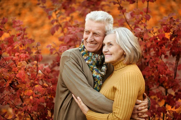 Casal velho no parque de outono — Fotografia de Stock