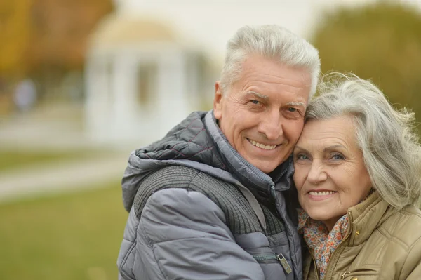 Pareja en el parque de otoño —  Fotos de Stock