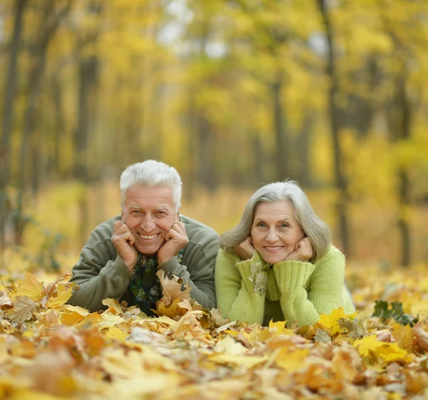 Couple d'âge mûr dans le parc d'automne — Photo