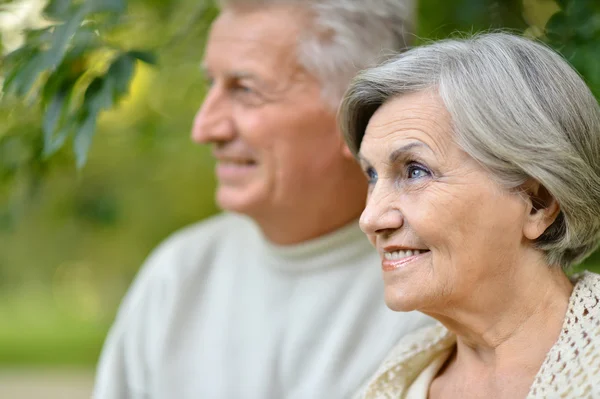 Ouder paar in de herfst park — Stockfoto