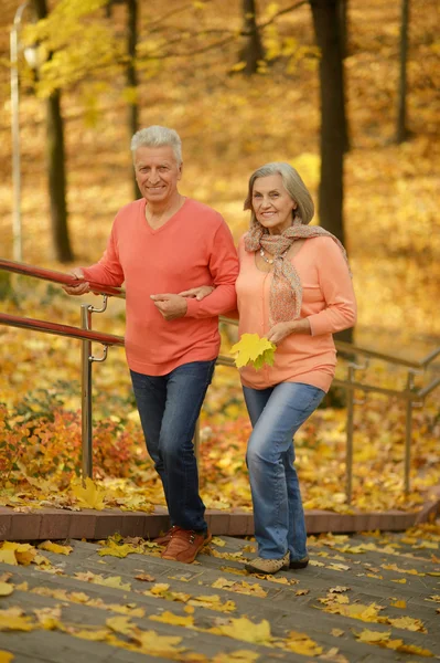 Mature couple  in the autumn park — Stock Photo, Image