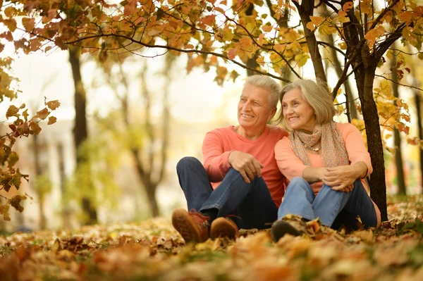 Bejaarde echtpaar in het park — Stockfoto