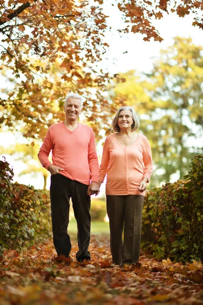 Couple having fun in park — Stock Photo, Image