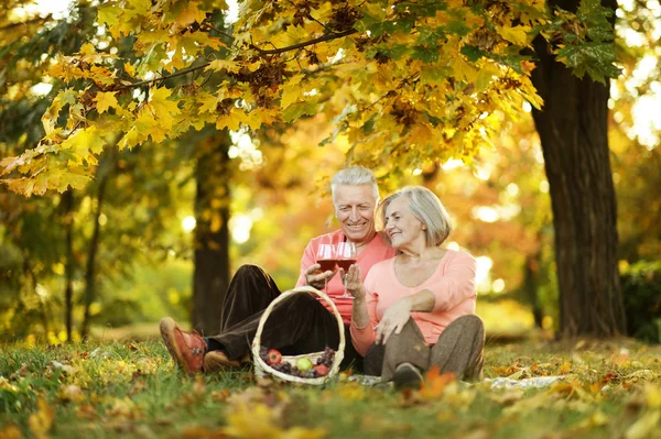 Coppia nel parco autunnale — Foto Stock