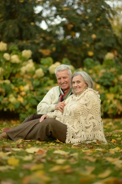 Bejaarde echtpaar in het park — Stockfoto
