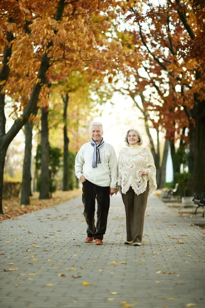 Ouder paar in de herfst park — Stockfoto