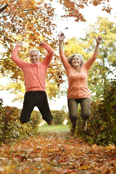 Paar plezier in park — Stockfoto