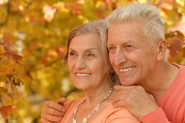 Old couple posing at autumn park — Stock Photo, Image