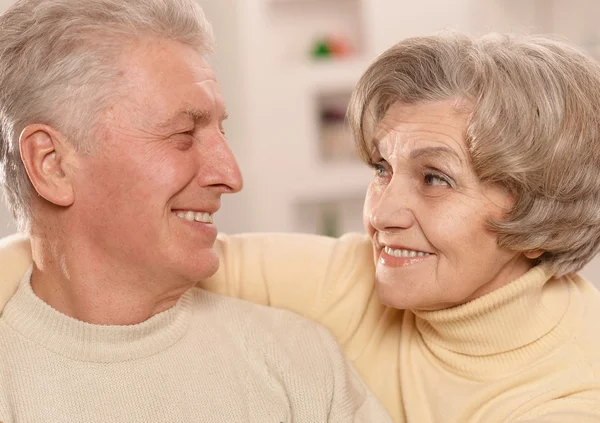 Portrait of a happy senior couple Stock Image