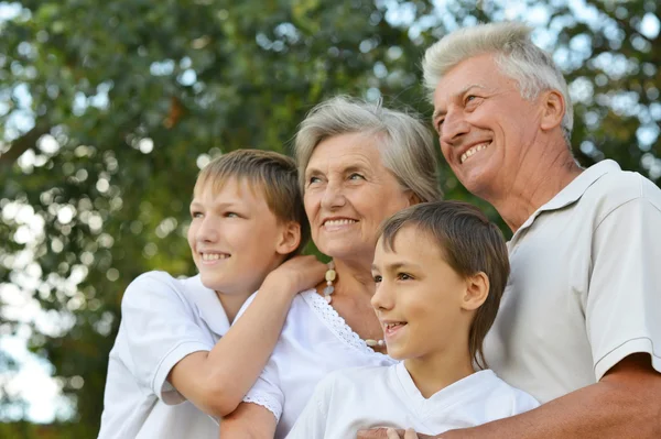 Family having picnic Royalty Free Stock Images