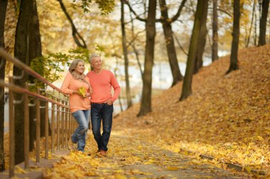 Mature couple  in the autumn park clipart