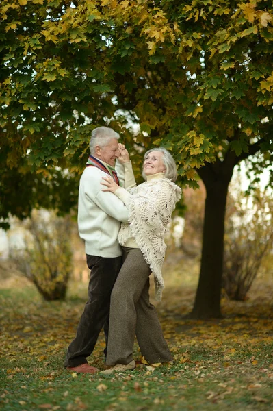 Äldre par dans i parken — Stockfoto