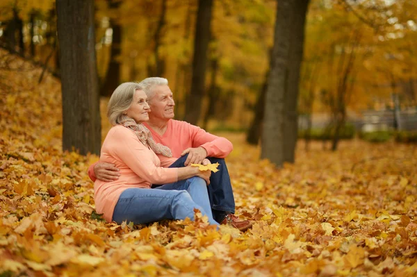 Osoby w podeszłym wieku para w parku — Zdjęcie stockowe