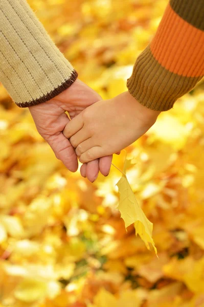Hands against fallen leaves — Stock Photo, Image