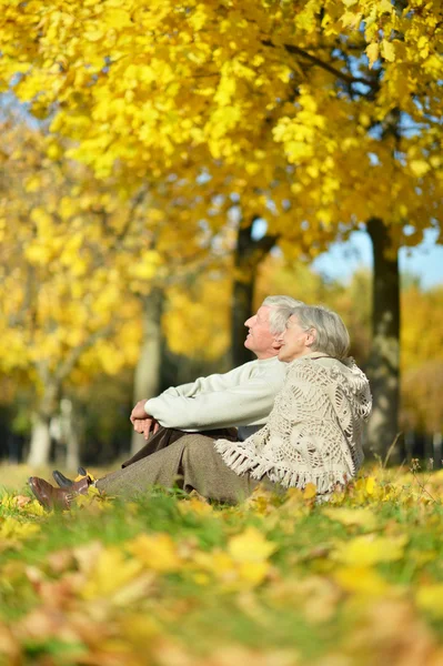 Oude paar in herfst park — Stockfoto