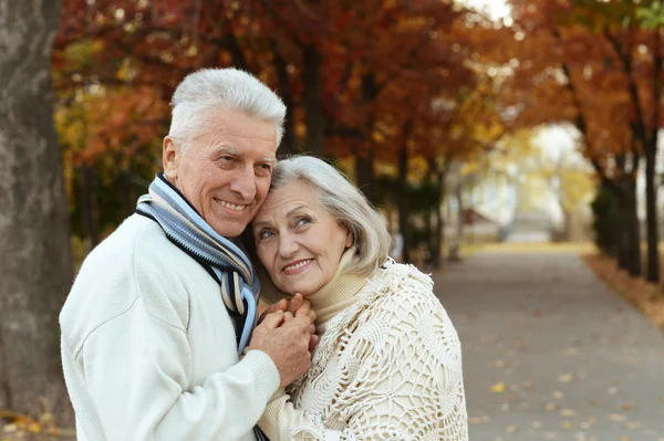 Pareja mayor en el parque de otoño —  Fotos de Stock