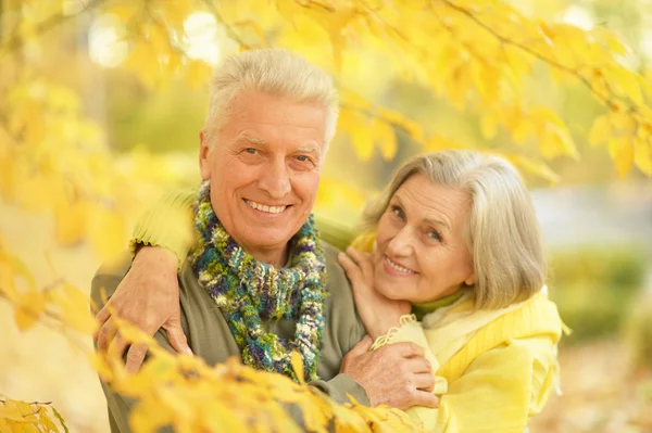 秋の公園で老夫婦 — ストック写真