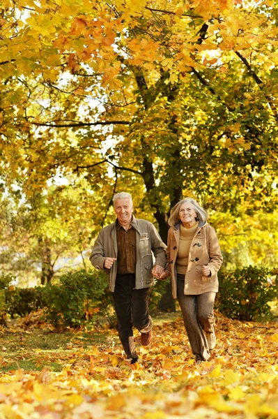 Paar plezier in park — Stockfoto