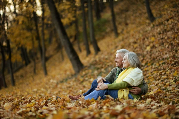 Elderly couple in the park — Stock Photo, Image