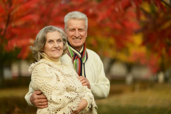 Old couple posing at autumn park — Stock Photo, Image