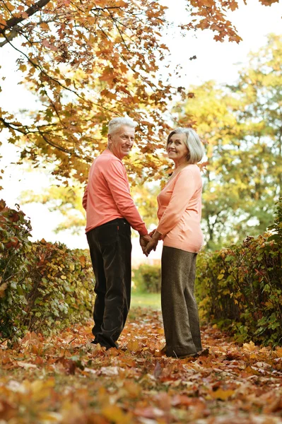 Paar plezier in park — Stockfoto