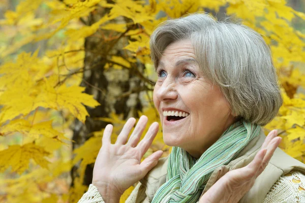 Senior kvinna i parken — Stockfoto