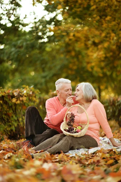 Para w jesiennym parku — Zdjęcie stockowe