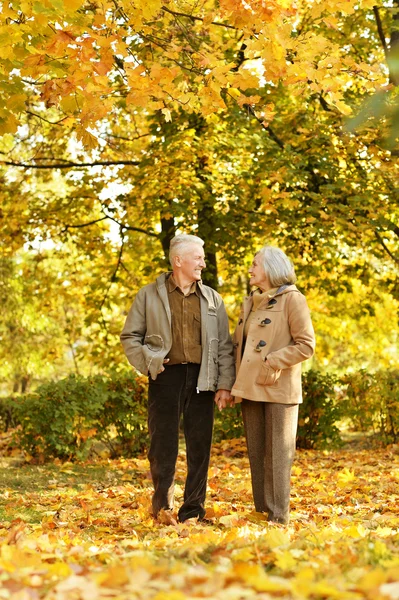 Paar in herfstpark — Stockfoto