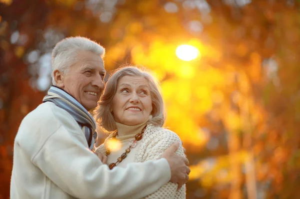 Couple sénior dans le parc d'automne — Photo