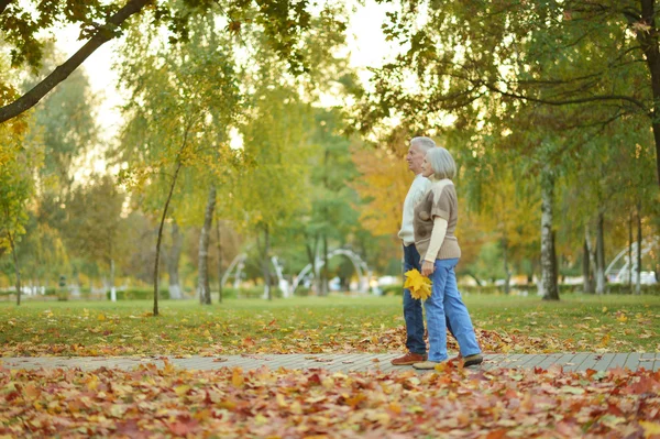 Paar in herfstpark — Stockfoto