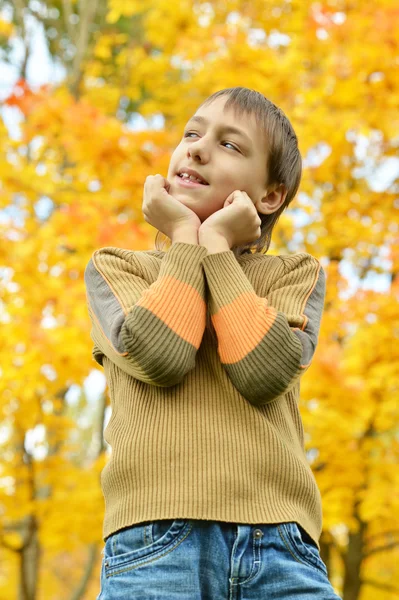 Lycklig pojke i höst park — Stockfoto