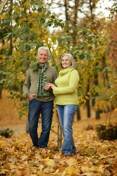 Parejas maduras en el parque de otoño — Foto de Stock