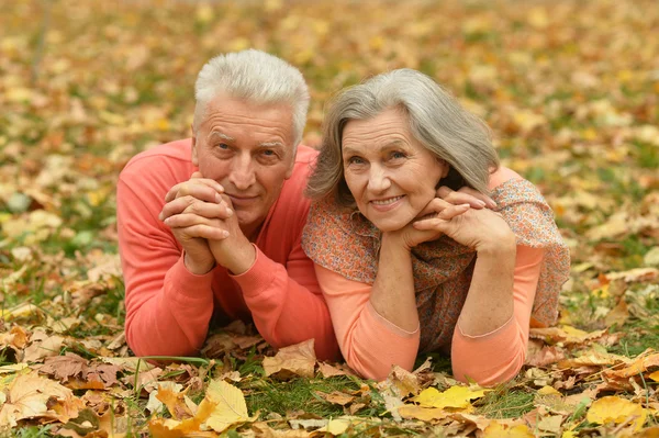 成熟的夫妻，在秋天公园 — 图库照片