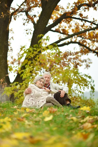 Paar amüsiert sich im Park — Stockfoto