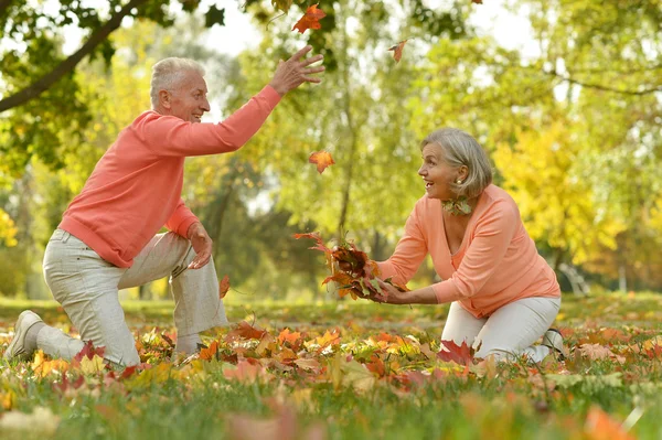 Couple having fun in park — Stock Photo, Image