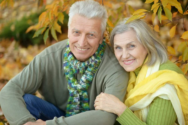 Couple de personnes âgées dans le parc — Photo