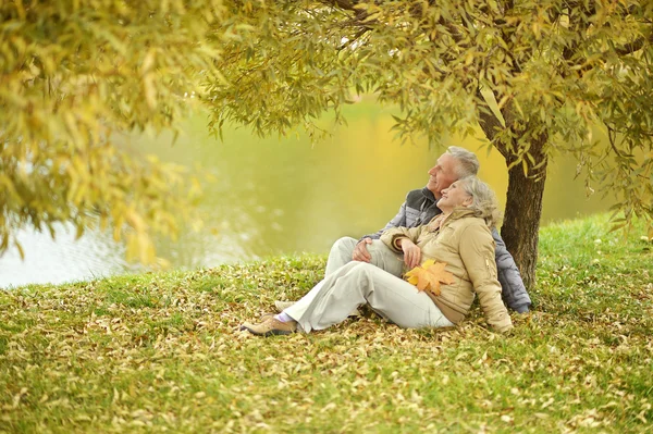 Coppia nel parco autunnale — Foto Stock